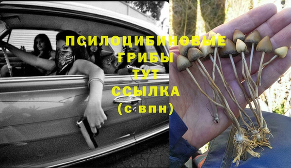 apvp Алексин