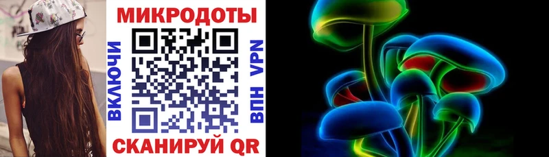 закладка  Кудрово  Галлюциногенные грибы мицелий 